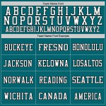 Custom Teal Black-White Mesh Authentic Football Jersey Custom Teal Black-White Mesh Authentic Football Jersey