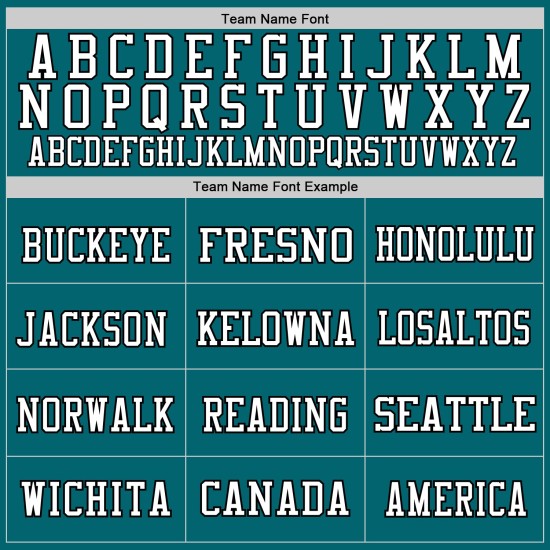 Custom Teal Black-White Mesh Authentic Football Jersey Custom Teal Black-White Mesh Authentic Football Jersey