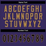 Custom Purple Black-White Mesh Split Fashion Football Jersey Custom Purple Black-White Mesh Split Fashion Football Jersey